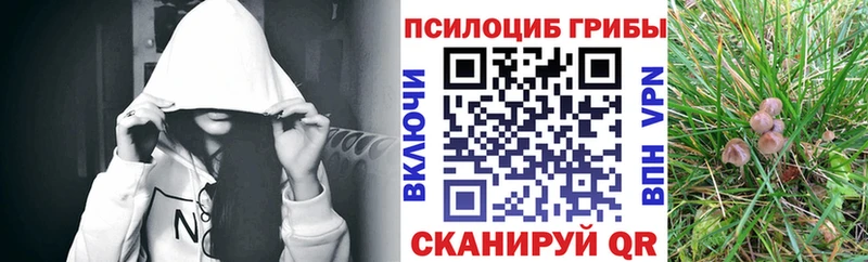 Псилоцибиновые грибы MAGIC MUSHROOMS  Нестеров 